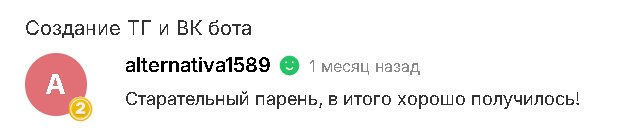 Отзыв с Kwork — alternativa1589